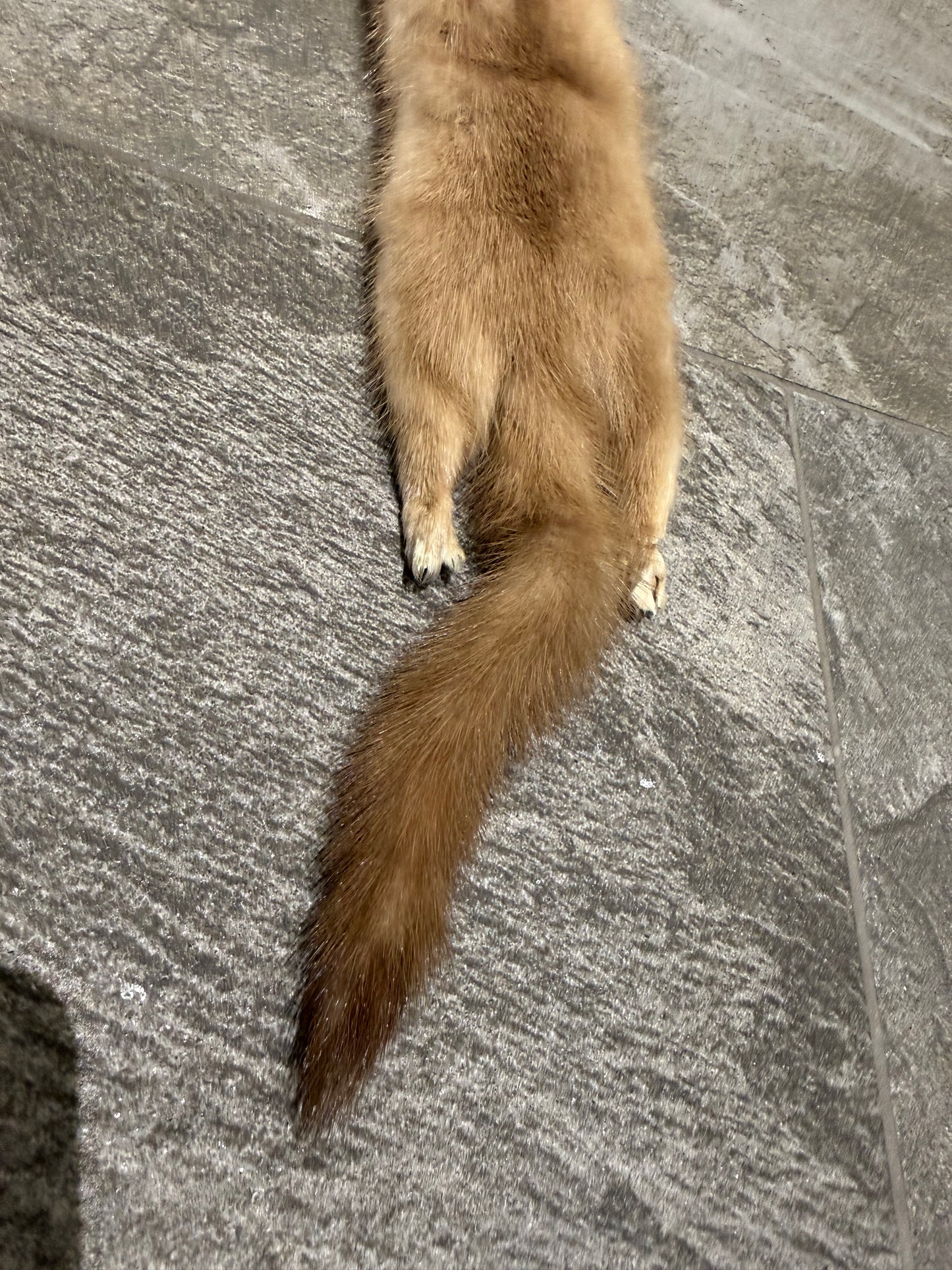 Mink Scarf