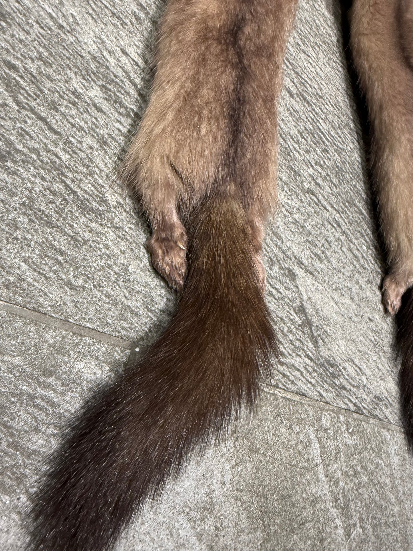 Mink Scarf