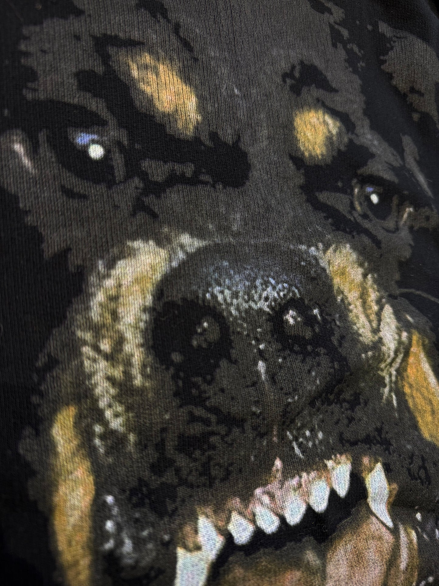 Givenchy FW15 Rottweiler Jumper (M)