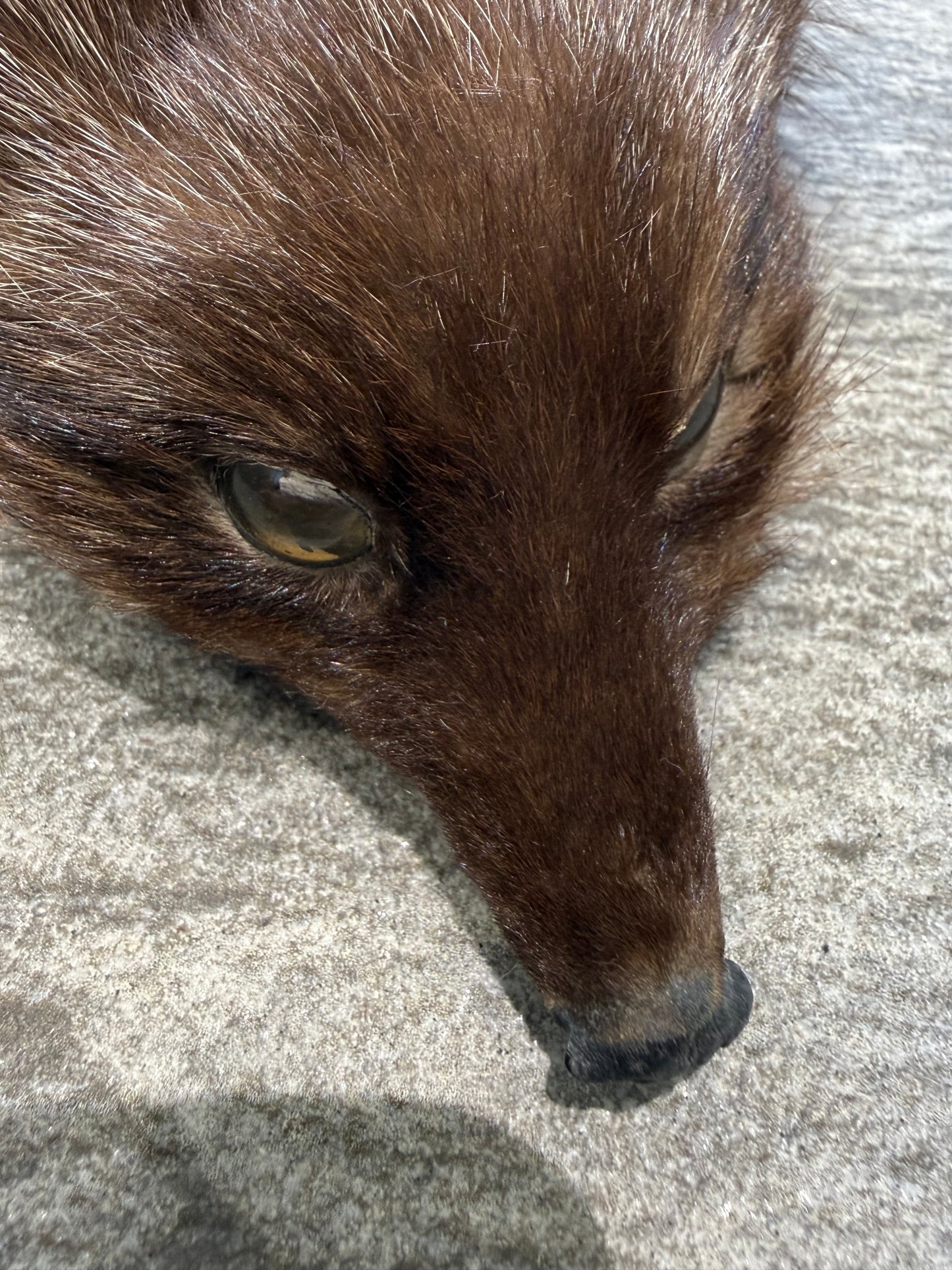 Vintage Fox Fur White Tip Tail Scarf