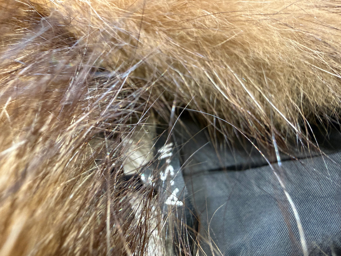 000’s ASM Buffalo Leather Fur Jacket (M)