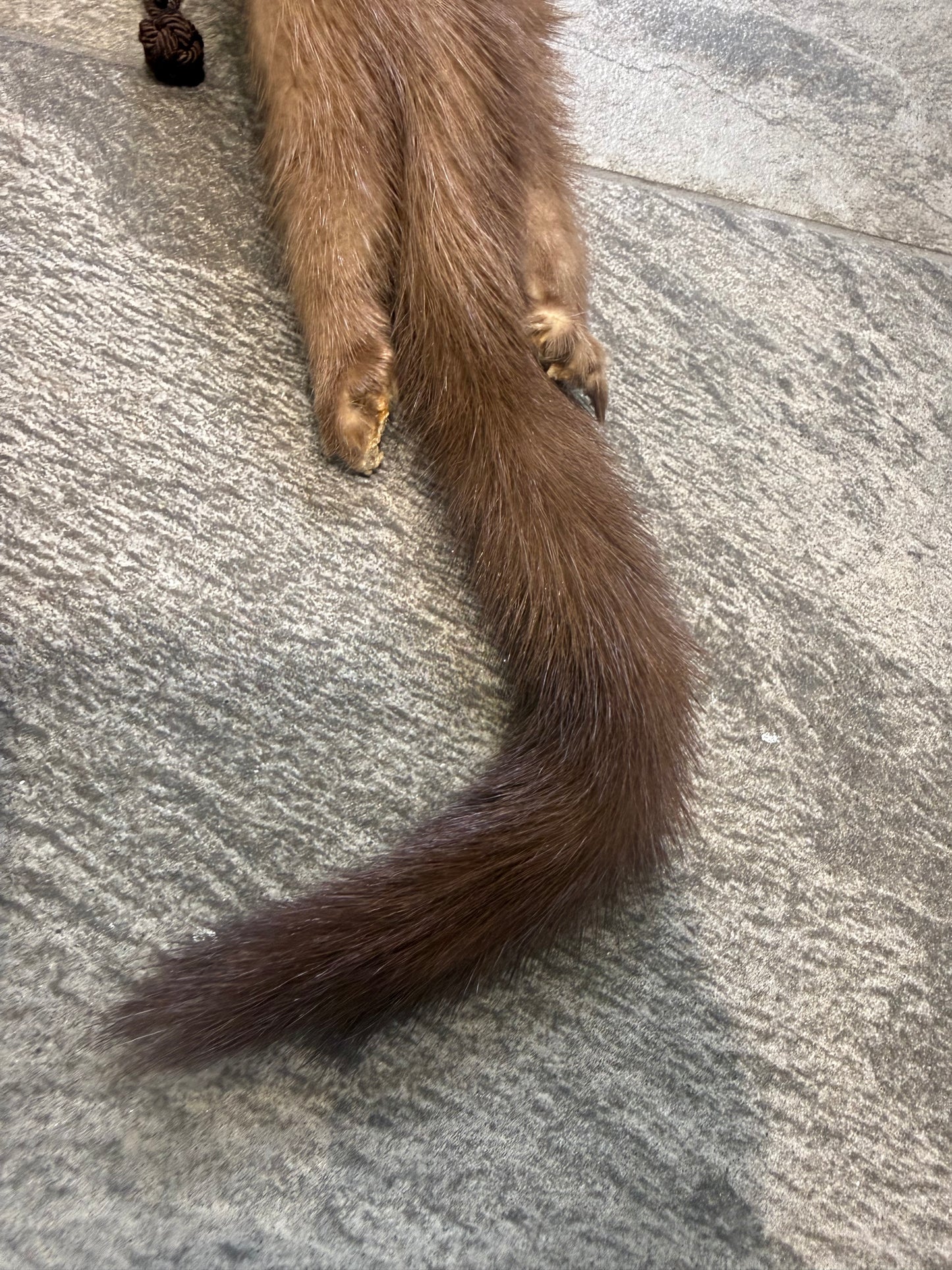 Vintage Mink Scarf