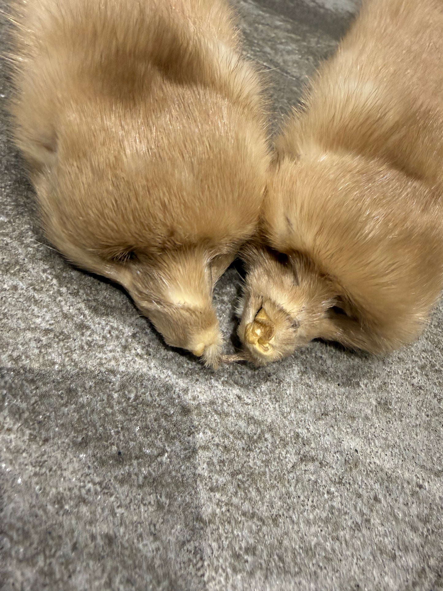 Mink Scarf