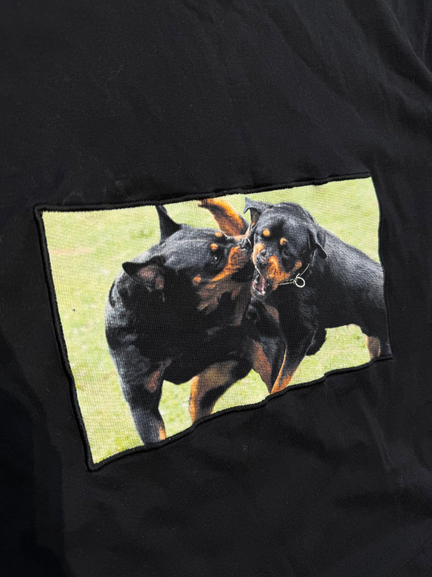 Givenchy Rottweiler Tee (M)