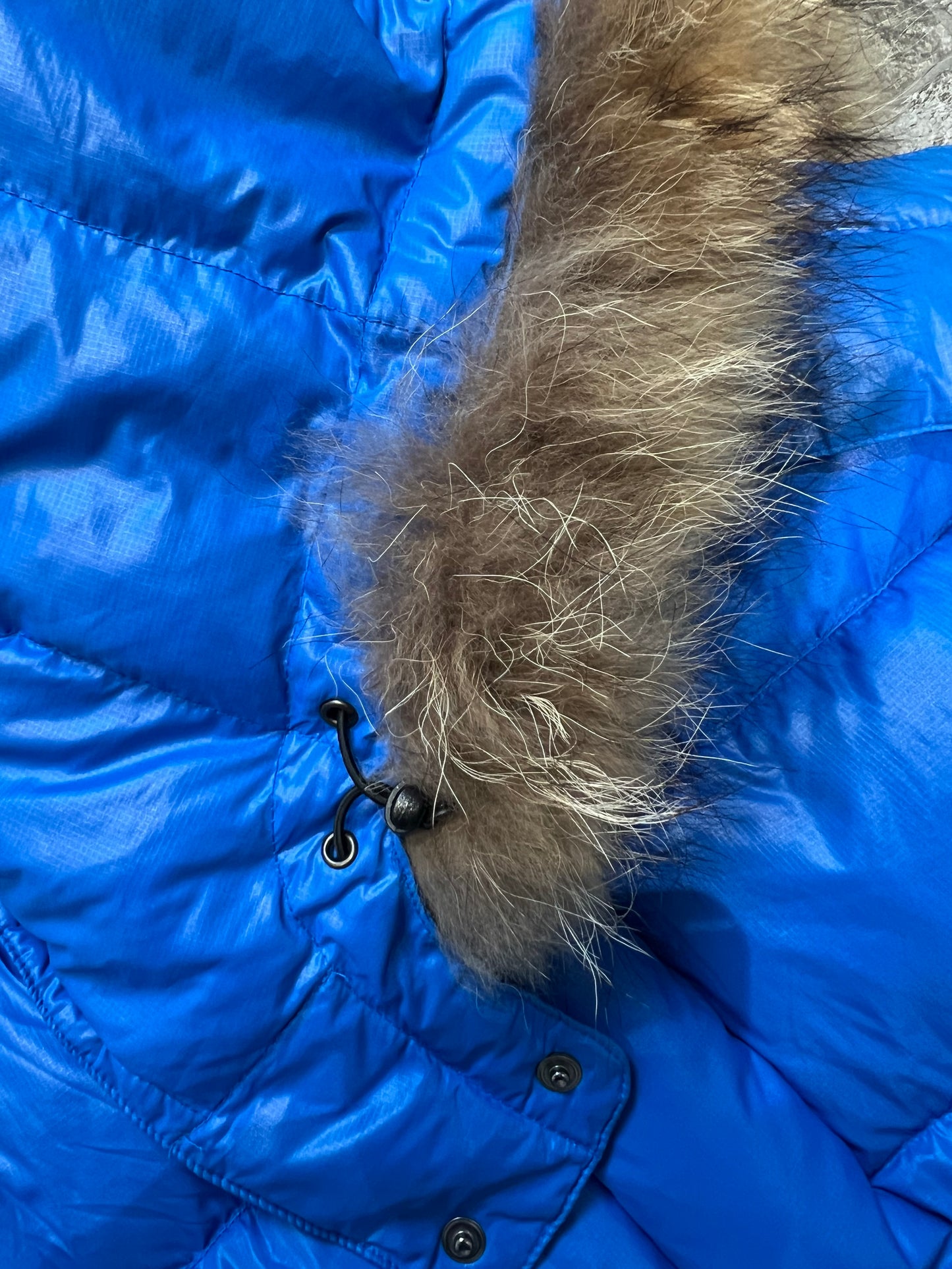 000’s Camp7 Fur Hood Puffer