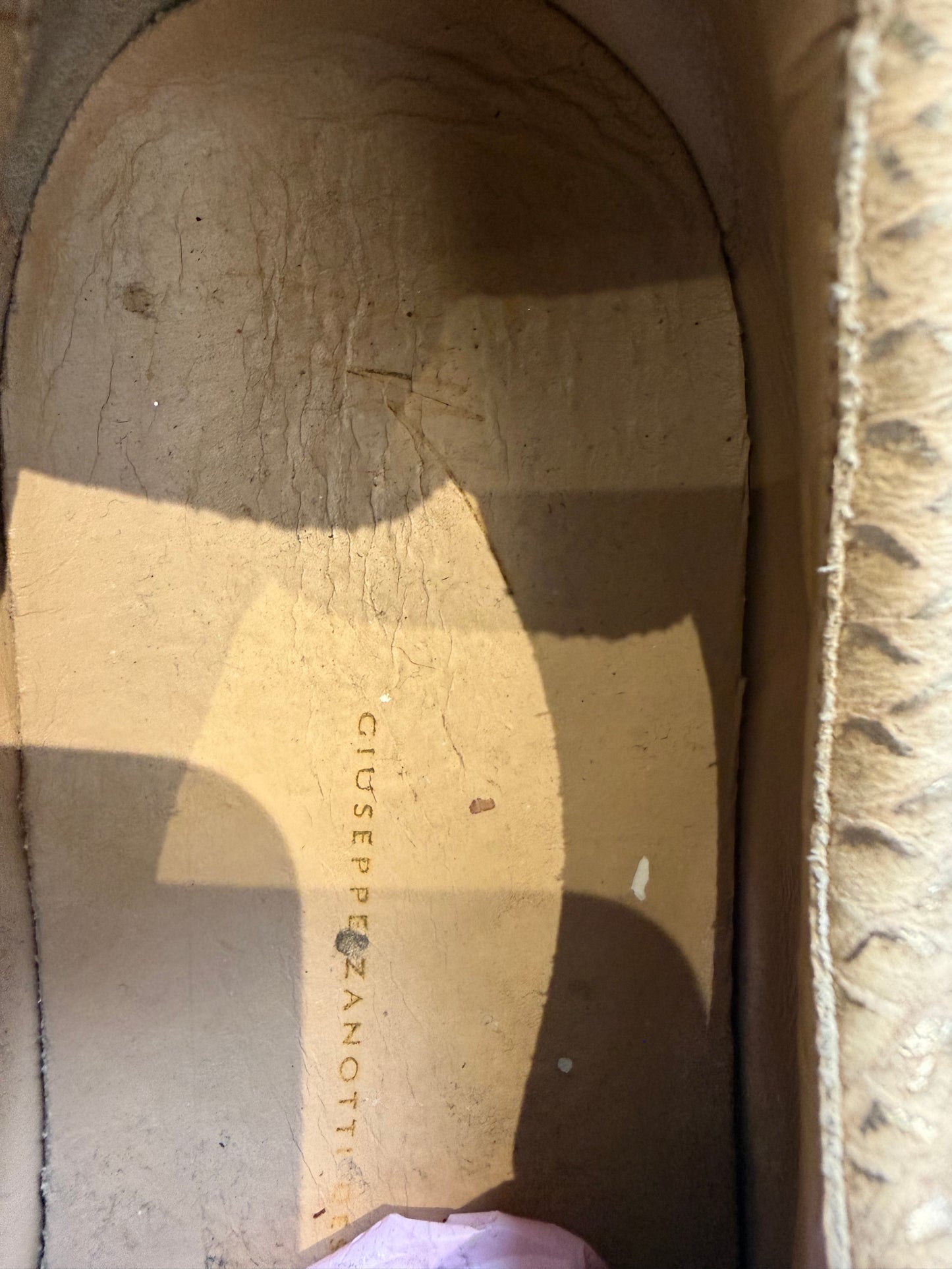 Giueseppe Zanotti Snakeskin Low Tops (EU 44 - UK 10)