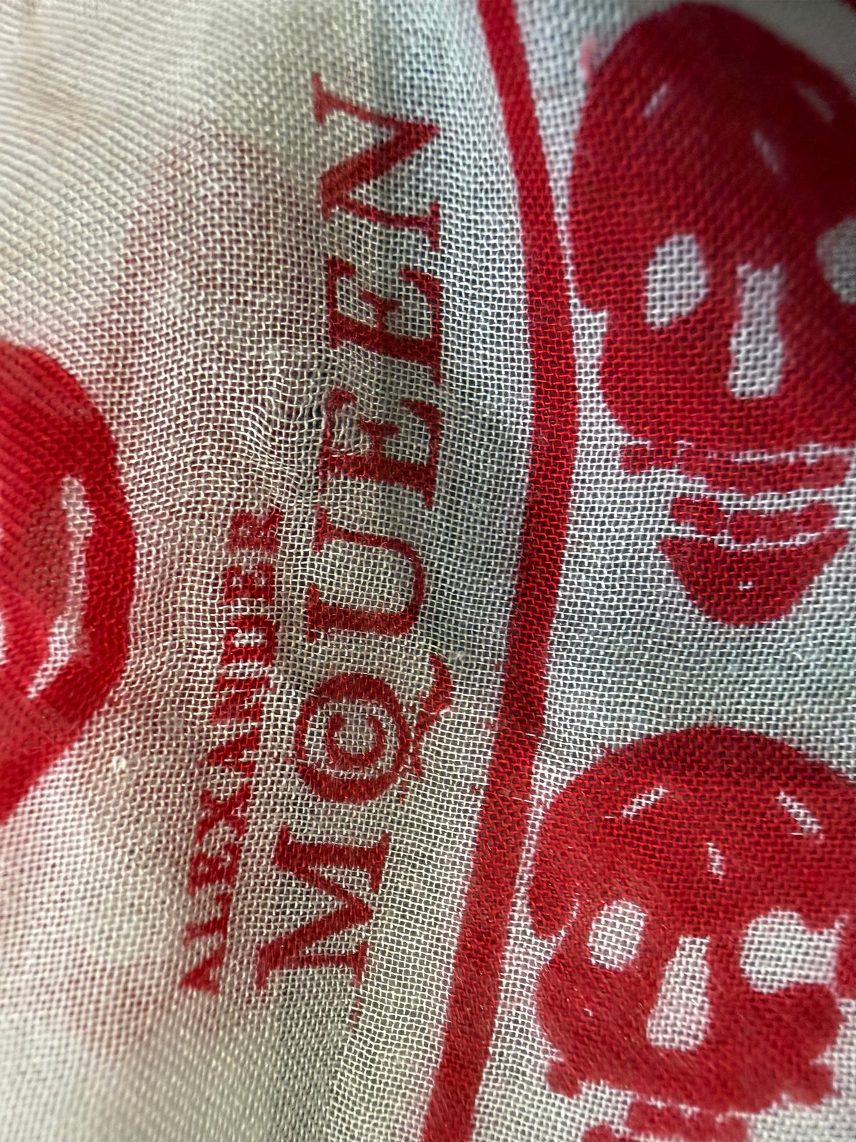 Alexander McQueen Skull Scarf