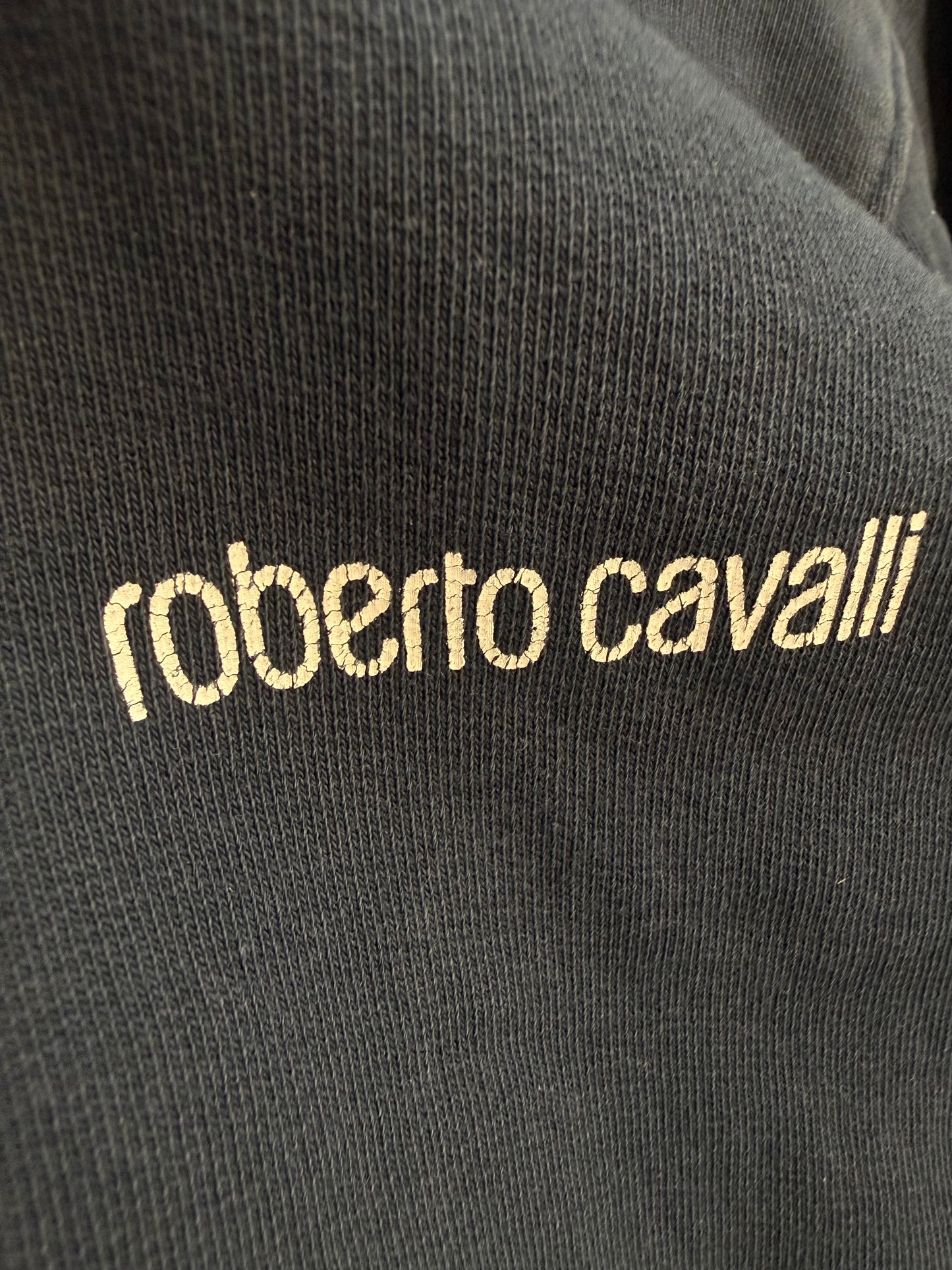 000’s Roberto Cavalli Tiger Hoodie (S)