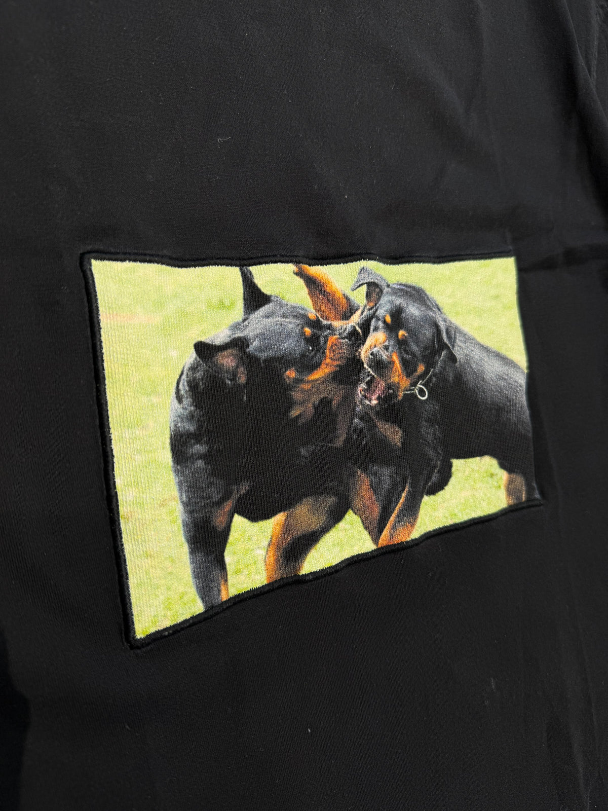 Givenchy Rottweiler Tee (L)