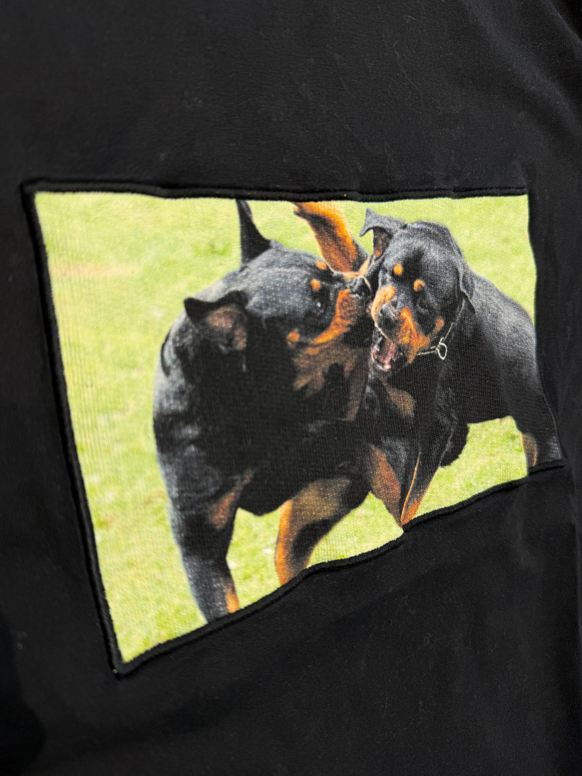 Givenchy Rottweiler Tee (S)