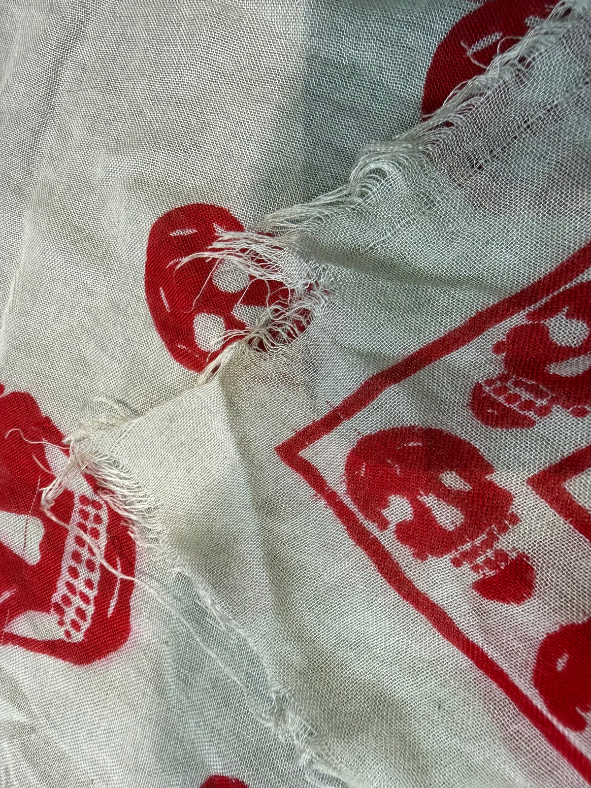 Alexander McQueen Skull Scarf