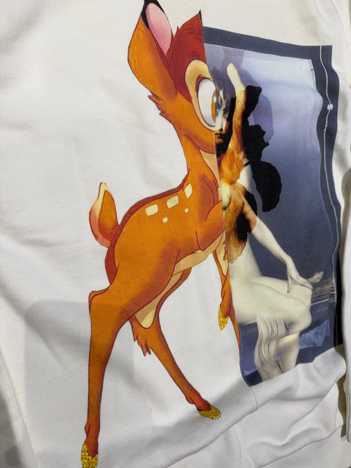 Givenchy Bambi Jumper (M)