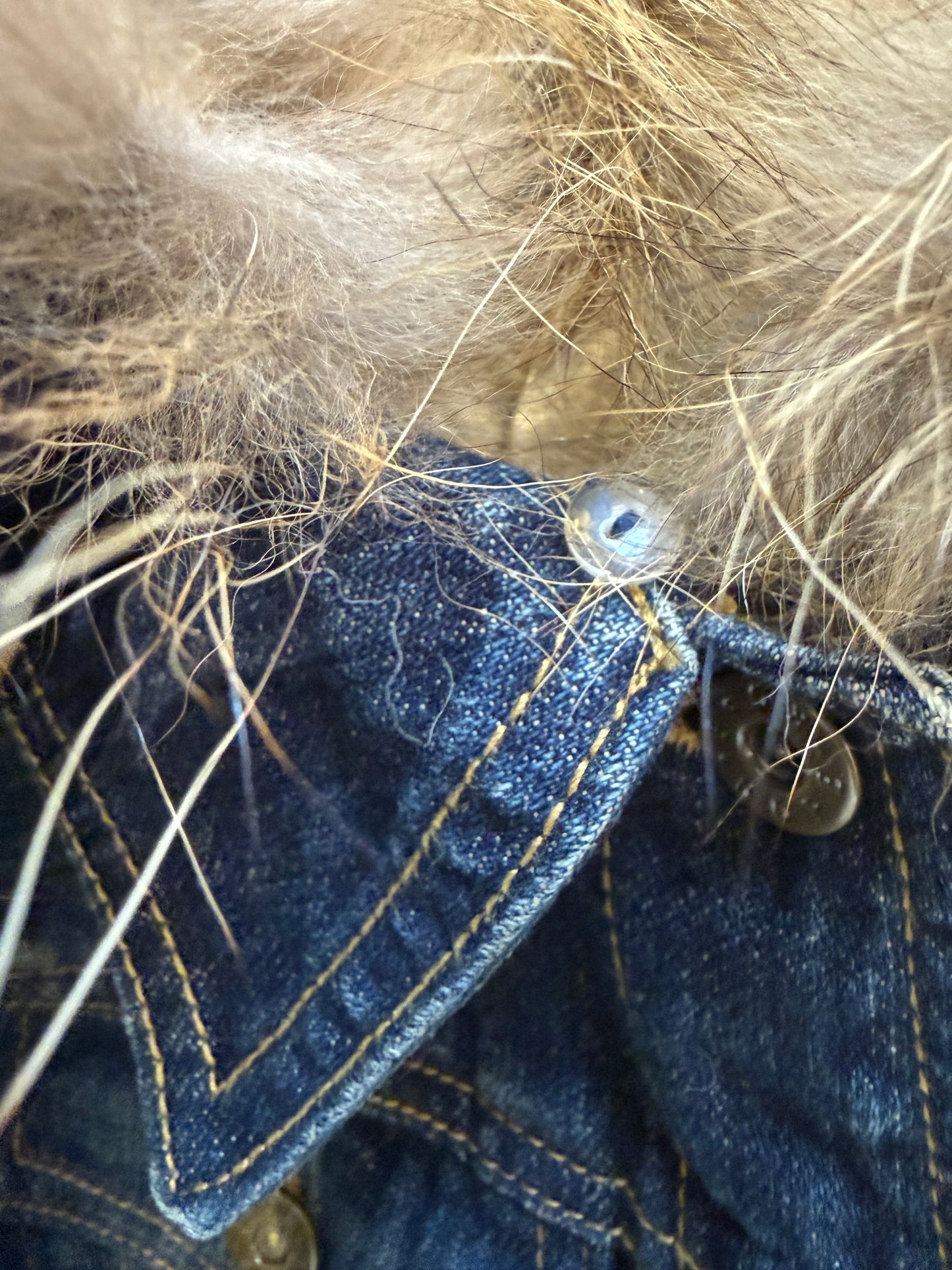 000’s Japanese Fur Collar Denim Jacket (XS)