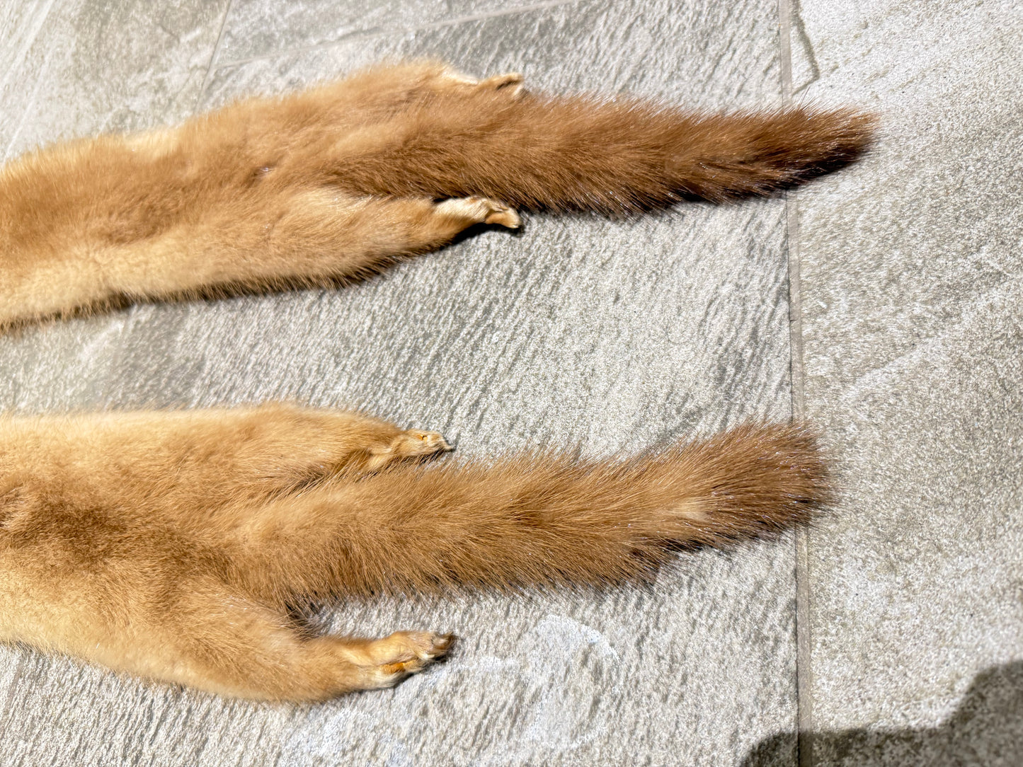 Mink Scarf